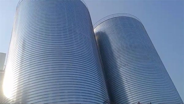 宾县2座混凝土高架卷板仓